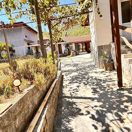 Monika Villa